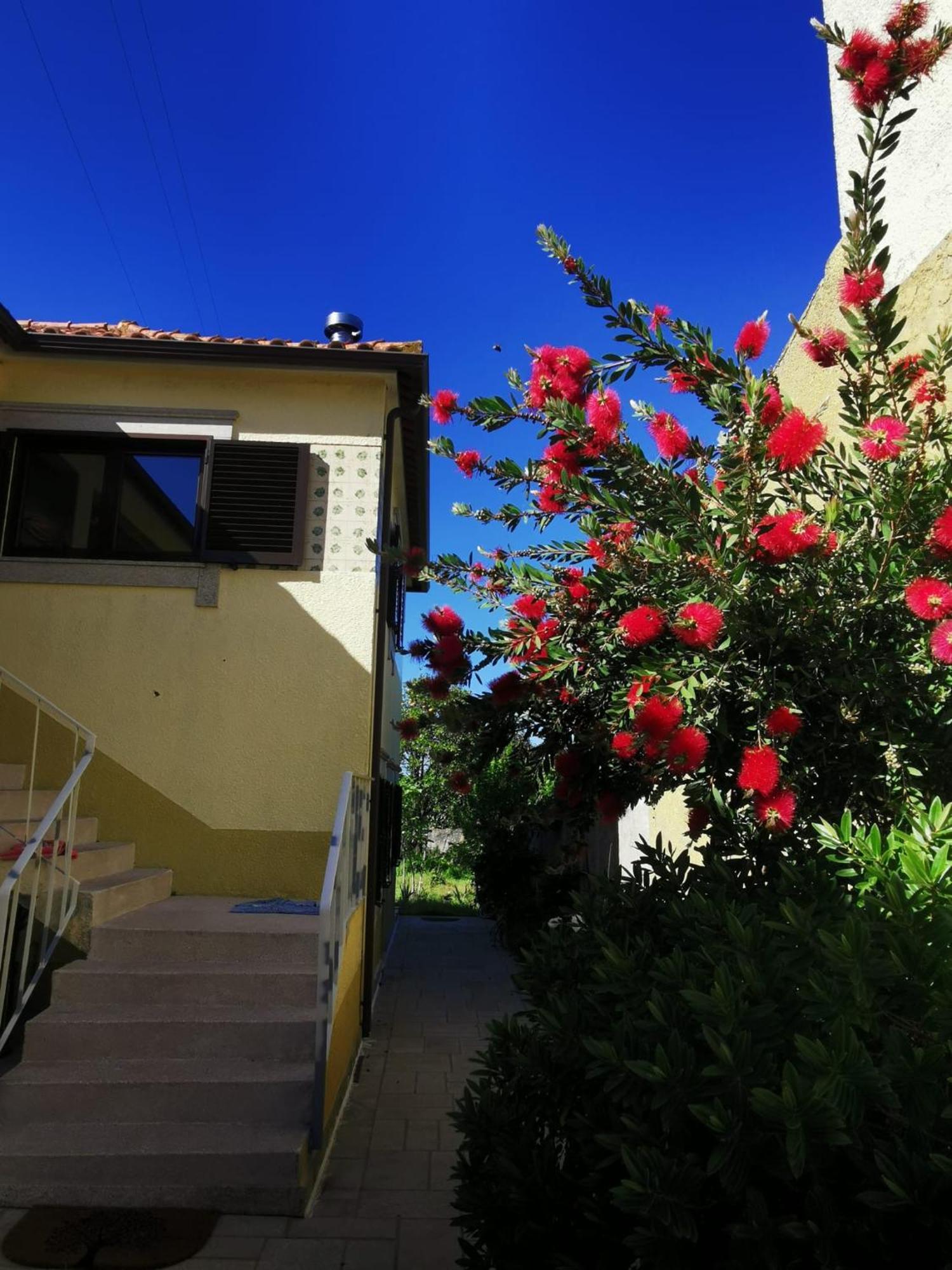 Casa Sao Pedro Belinho Only Pilgrims住宿加早餐旅馆 外观 照片